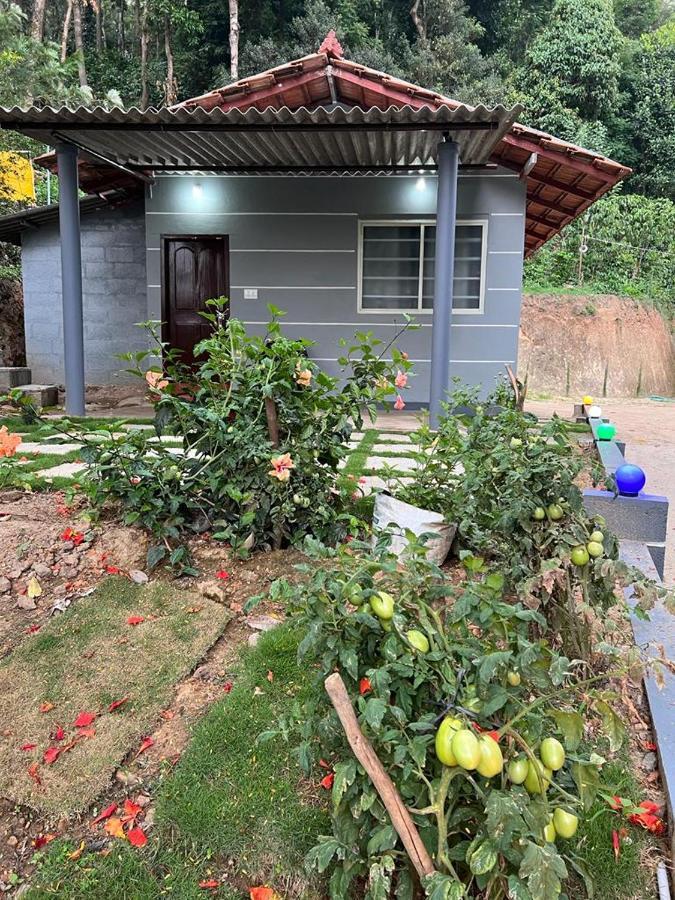 Darshan'S Home Stay Madikeri Ngoại thất bức ảnh